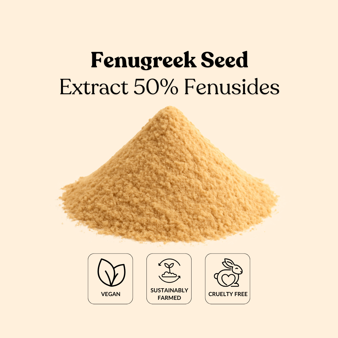 Fenugreek Seed Extract 50% Fenusides