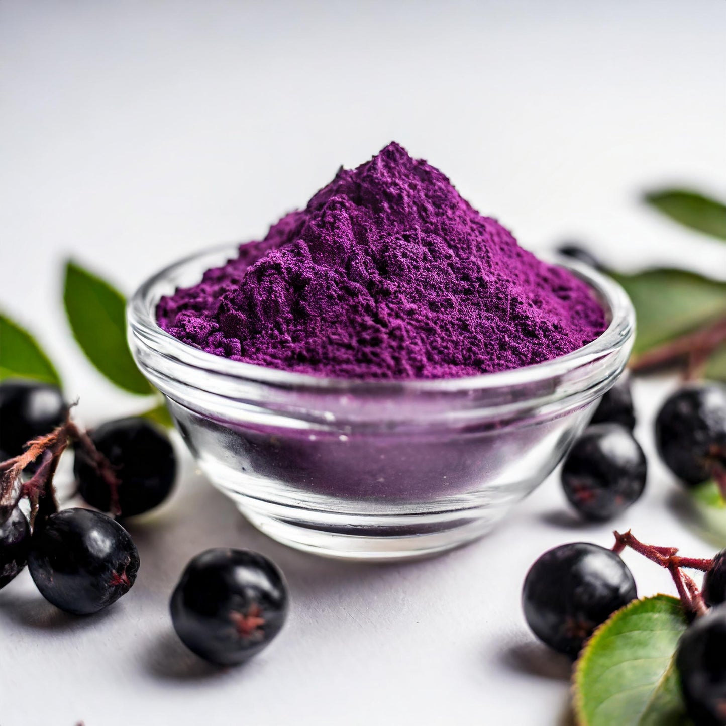 Aronia Melanocarpa Extract 10% Anthocyanin by HPLC