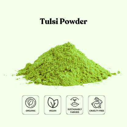 Tulsi Powder
