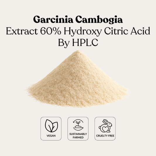 Garcinia Cambogia Extract 60% Hydroxy Citric Acid By HPLC