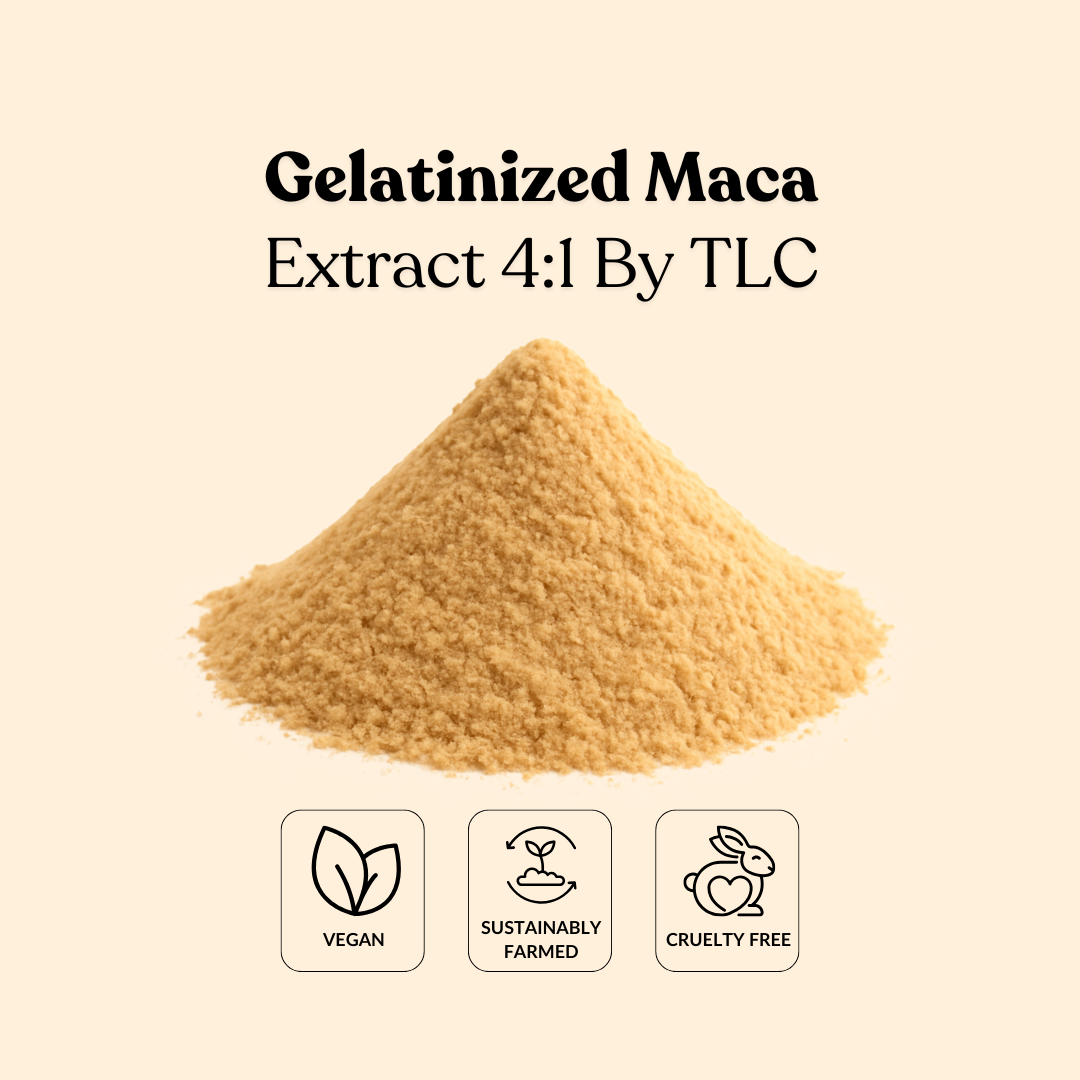 Gelatinized Maca Extract 4:1 By TLC