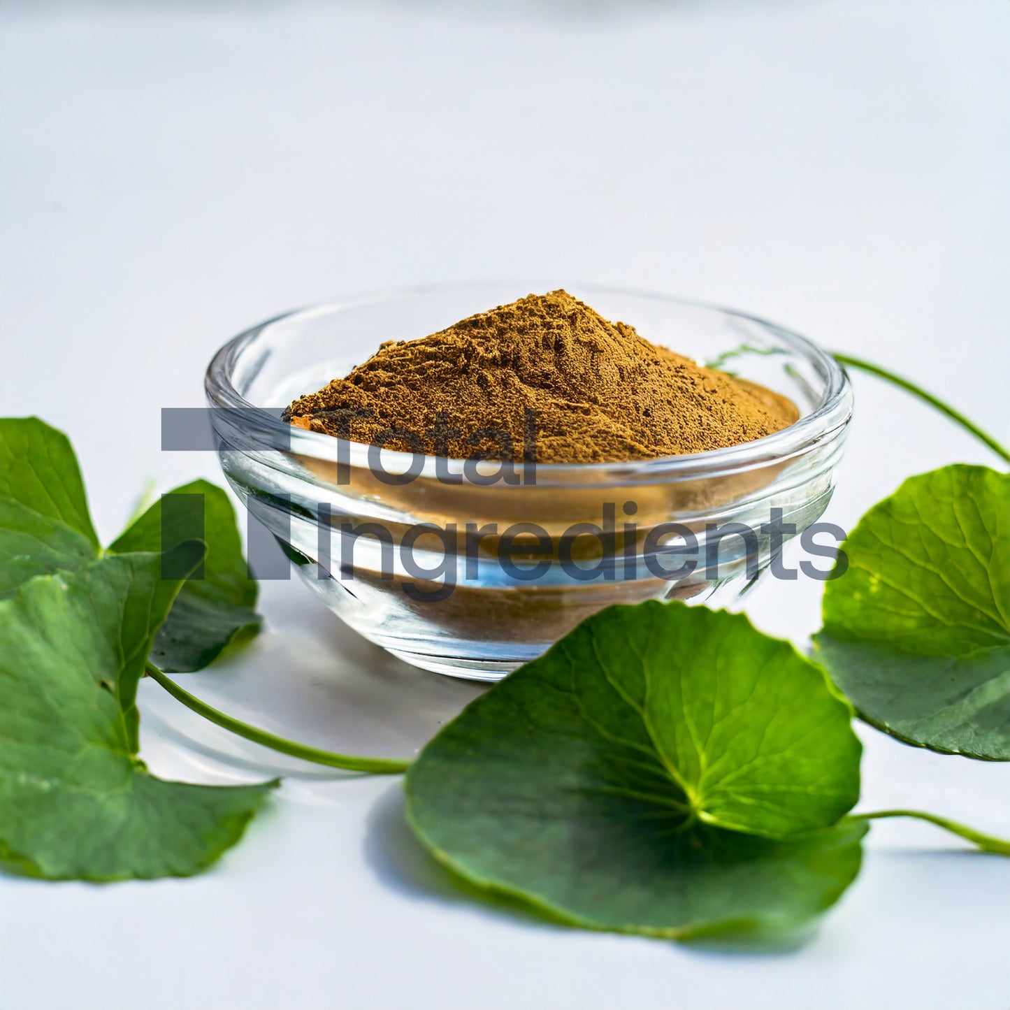 Centella asiatica (Gotu kola) extract 10:1