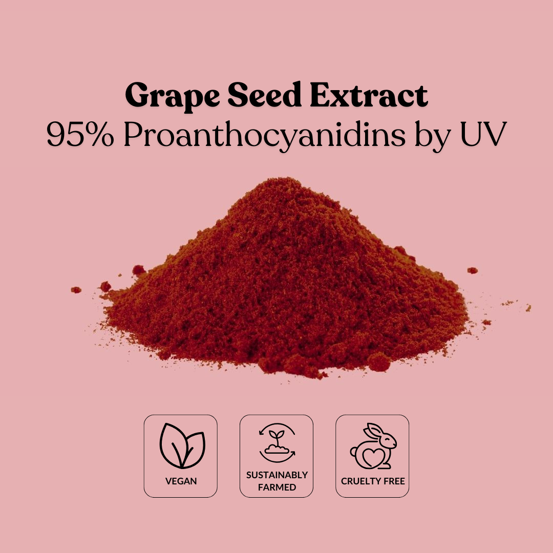 Grape Seed Extract 95% Proanthocyanidins by UV