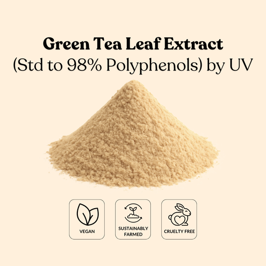 Green Tea Leaf Extract (Std to 98% Polyphenols) by UV