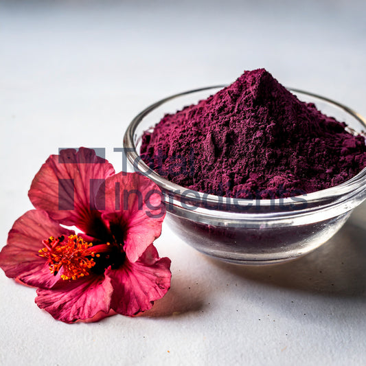 Hibiscus Flower Extract 10:1