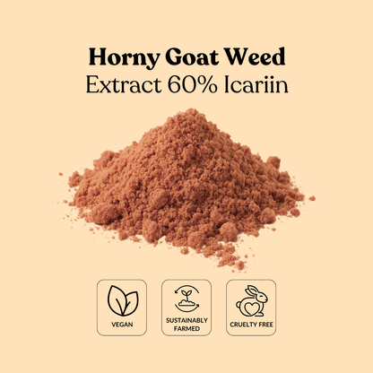 Horny Goat Weed Extract 60% Icariin