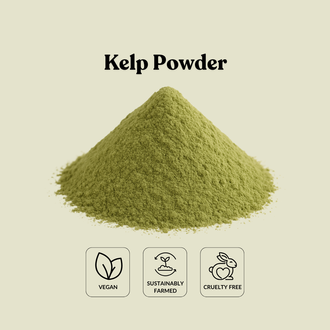 Kelp powder with vegan, sustainably farmed, and cruelty-free icons on a beige background