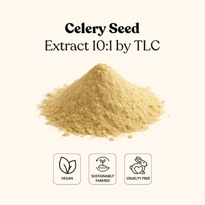Celery Seed Extract 10:1 by TLC