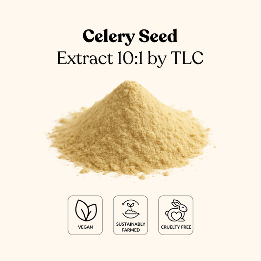 Celery Seed Extract 10:1 by TLC