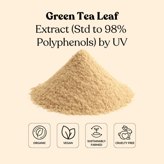 Green Tea Leaf Extract (Std to 98% Polyphenols) by UV
