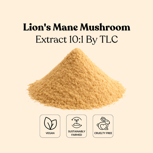 Lion's Mane Mushroom Extract 10:1 By TLC