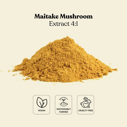 Maitake Mushroom Extract 4:1