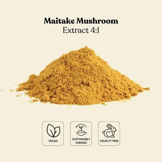 Maitake Mushroom Extract 4:1