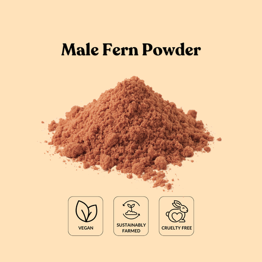 Male Fern Powder