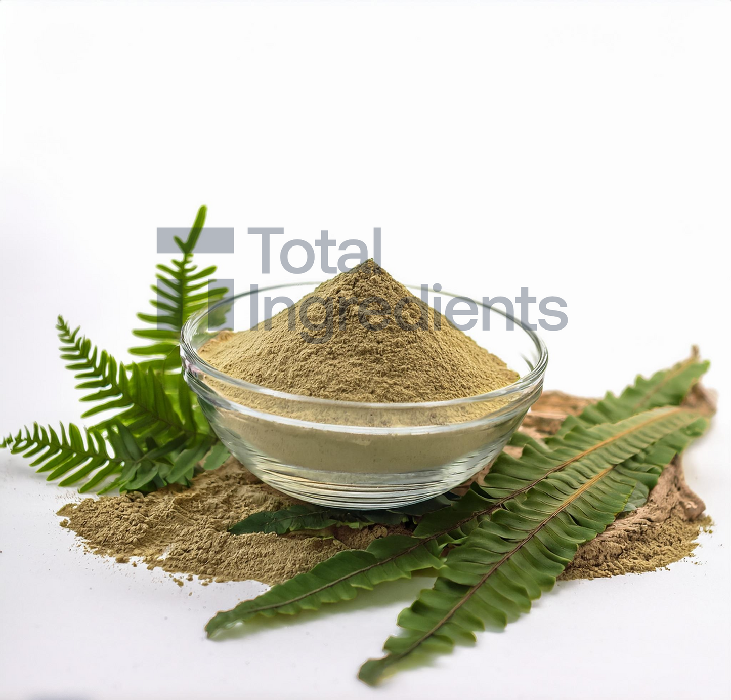 Male Fern Root powder