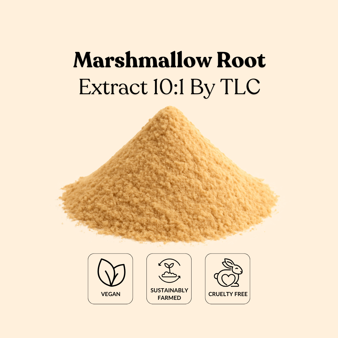 Marshmallow Root Extract 10:1 By TLC