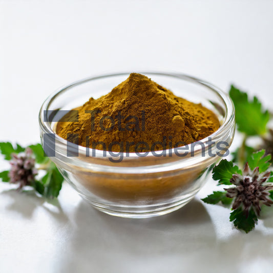 Motherwort Herb Extract 10:1