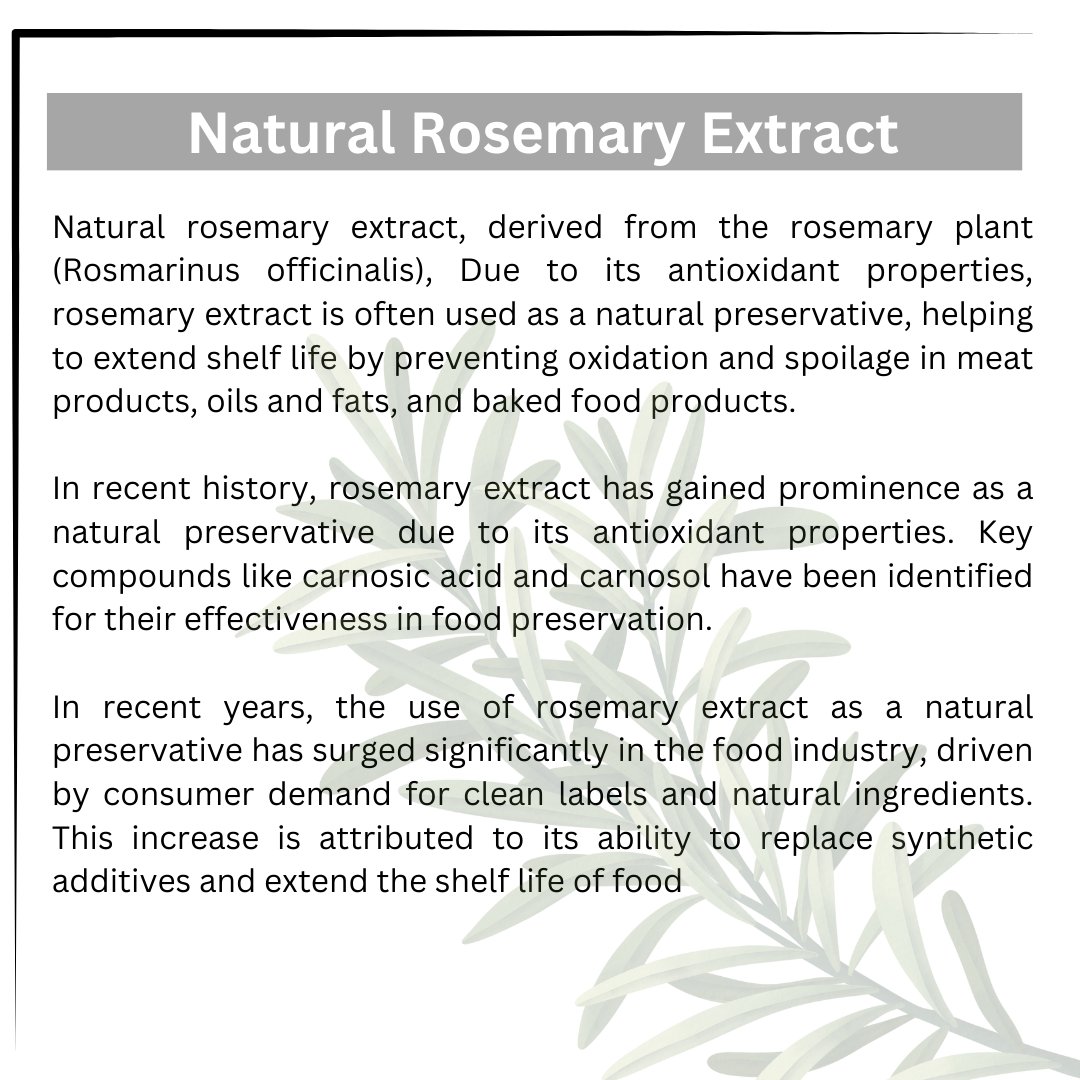 Rosemary Extract 5% by HPLC