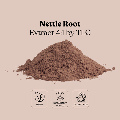 Nettle Root Extract 4:1 by TLC