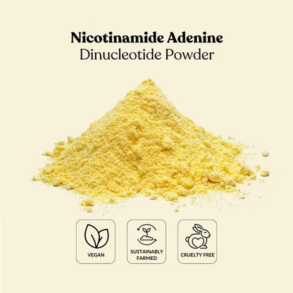Nicotinamide Adenine Dinucleotide Powder