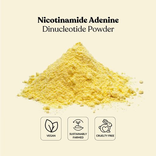 Nicotinamide Adenine Dinucleotide Powder