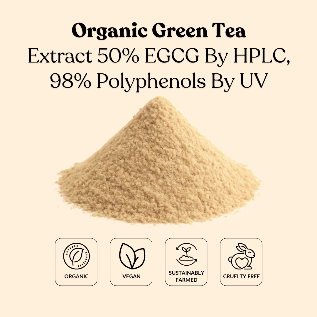 Organic Green Tea Extract 50% EGCG By HPLC, 98% Polyphenols By UV