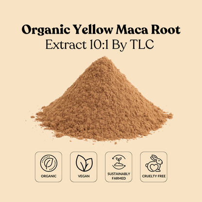 Organic Yellow Maca Root Extract 10:1 By TLC