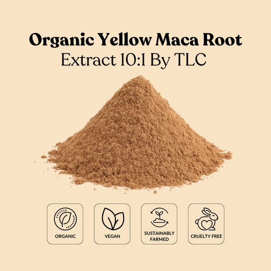 Organic Yellow Maca Root Extract 10:1 By TLC