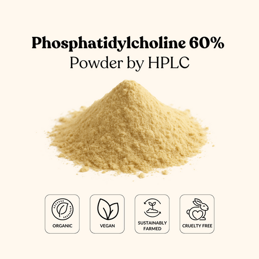 Phosphatidylcholine 60% Powder by HPLC