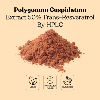 Polygonum Cuspidatum Extract 50% Trans-Resveratrol By HPLC