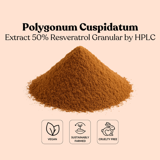 Polygonum Cuspidatum Extract 50% resveratrol Granular by HPLC