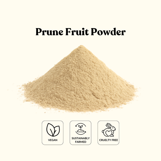 Prune Fruit Powder