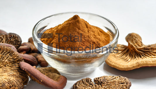 Reishi Mushroom Extract 35% by UV