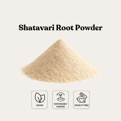 Shatavari Root Powder
