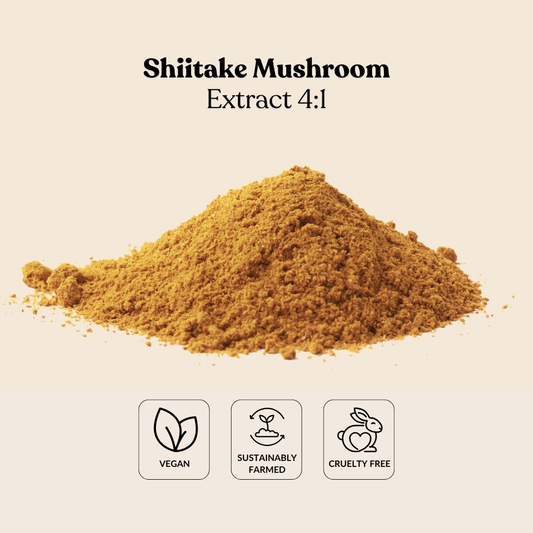Shiitake Mushroom Extract 4:1