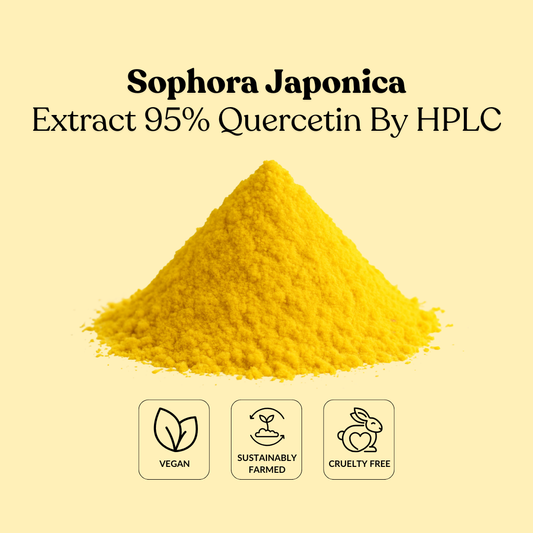 Sophora Japonica Extract 95% Quercetin By HPLC