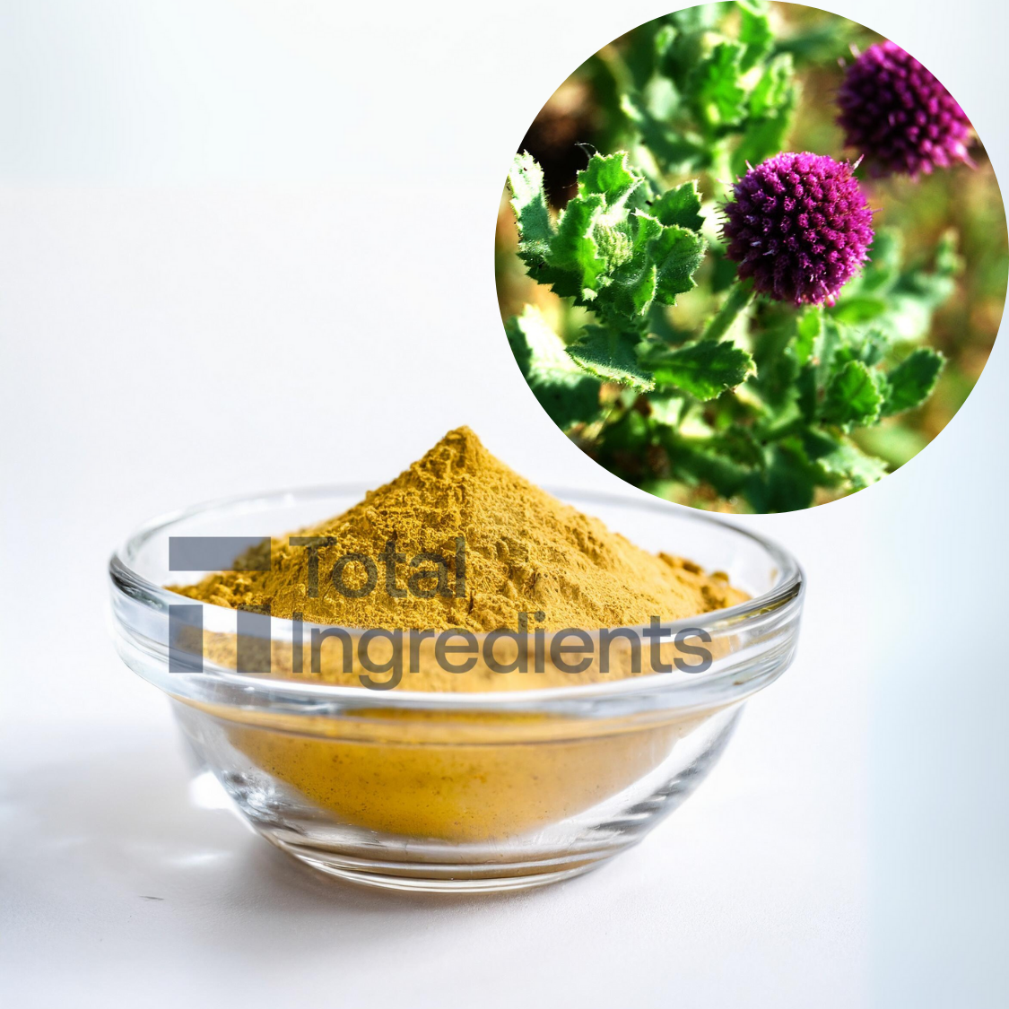 Explore Wide Range of Quality Products at Total Ingredients