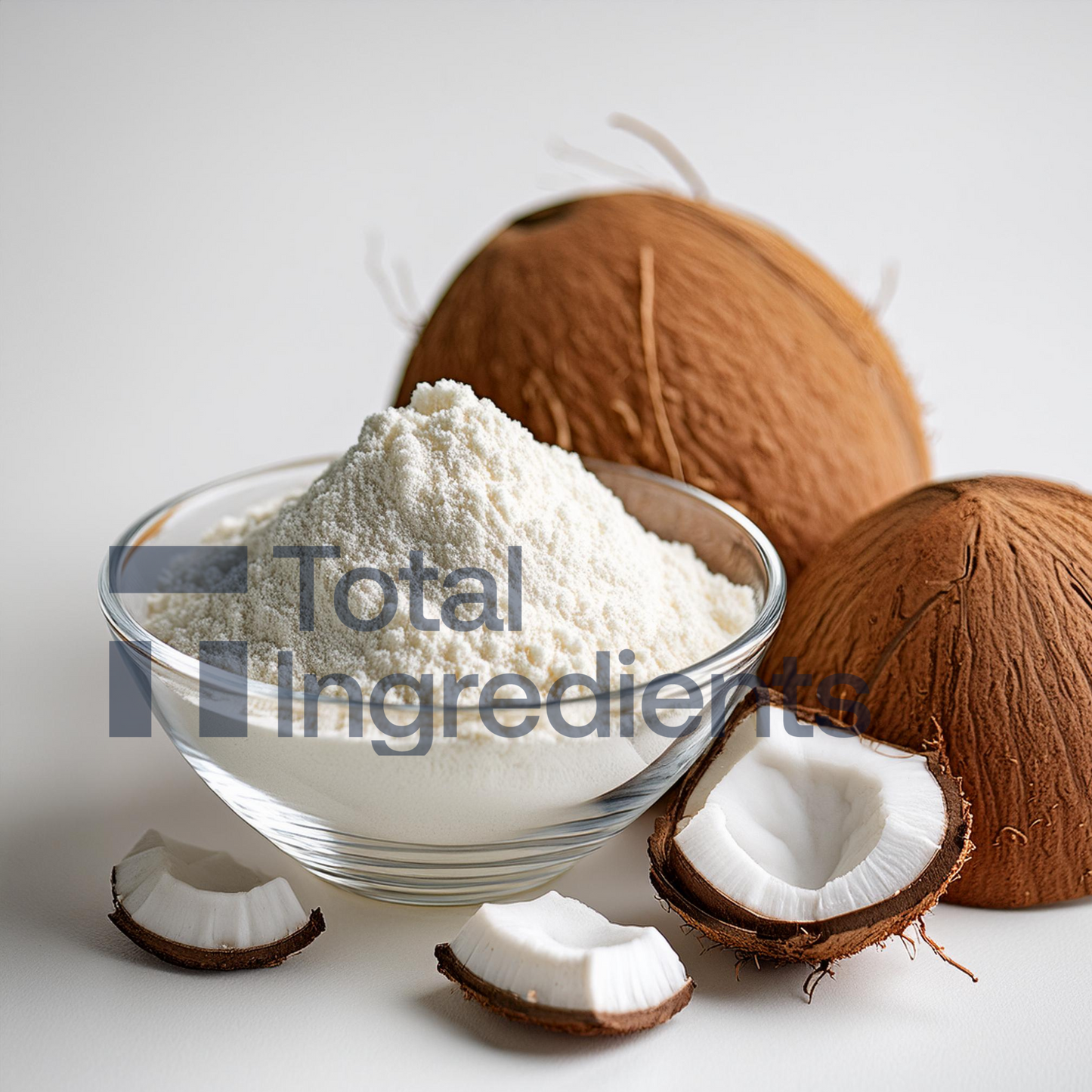 Spray Dried Coconut Milk Powder