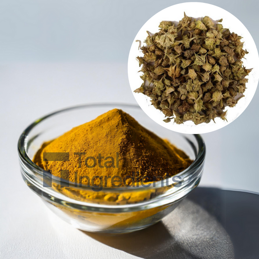 Tribulus Terrestris Extract 95% by UV