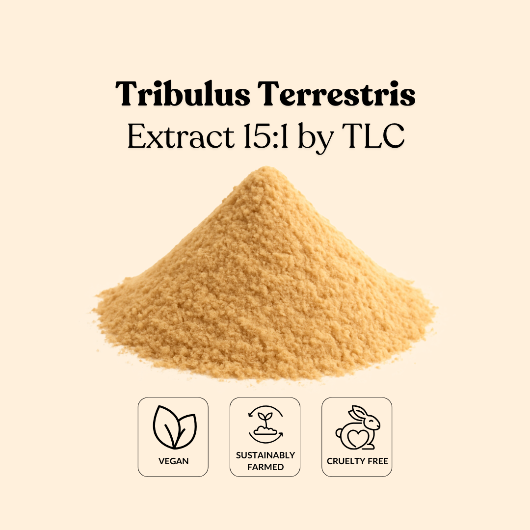 Tribulus Terrestris Extract 15:1 by TLC