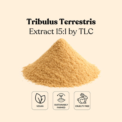 Tribulus Terrestris Extract 15:1 by TLC