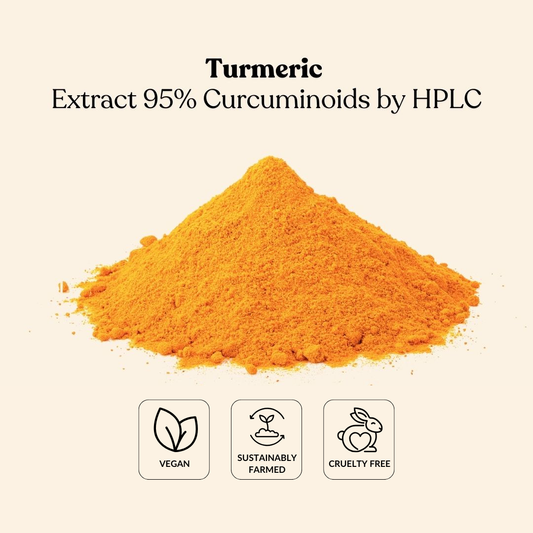 Turmeric Extract 95% Curcuminoids by HPLC