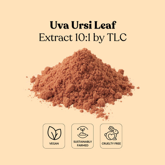Uva Ursi Leaf Extract 10:1 by TLC