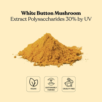 White Button Mushroom Extract Polysaccharides 30% by UV
