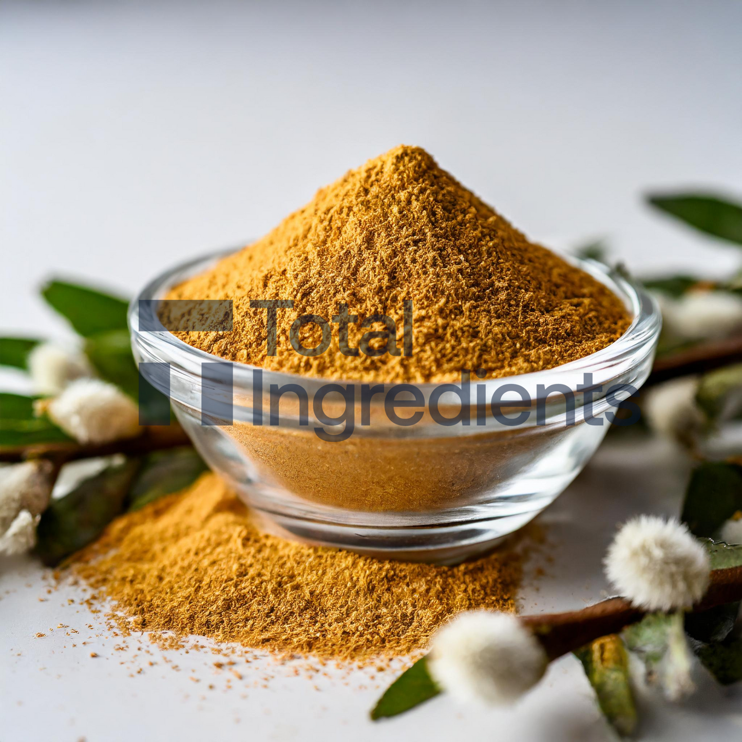 White Willow Bark Extract 15%-30% Salicin by HPLC