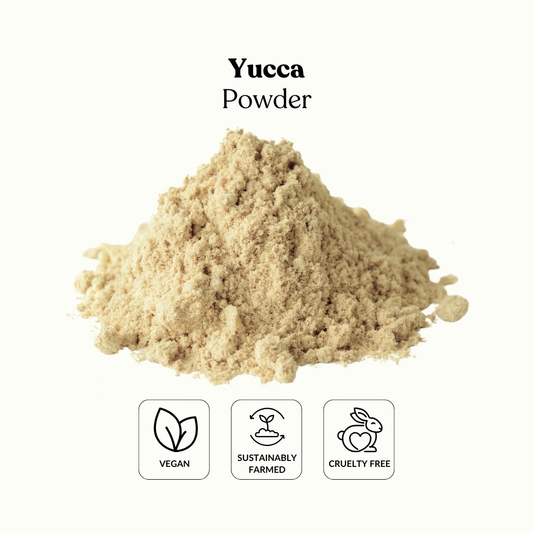 Yucca Powder