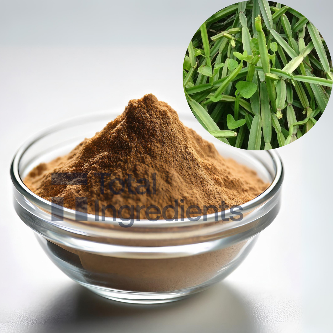 Cissus Extract 2.5% by GV