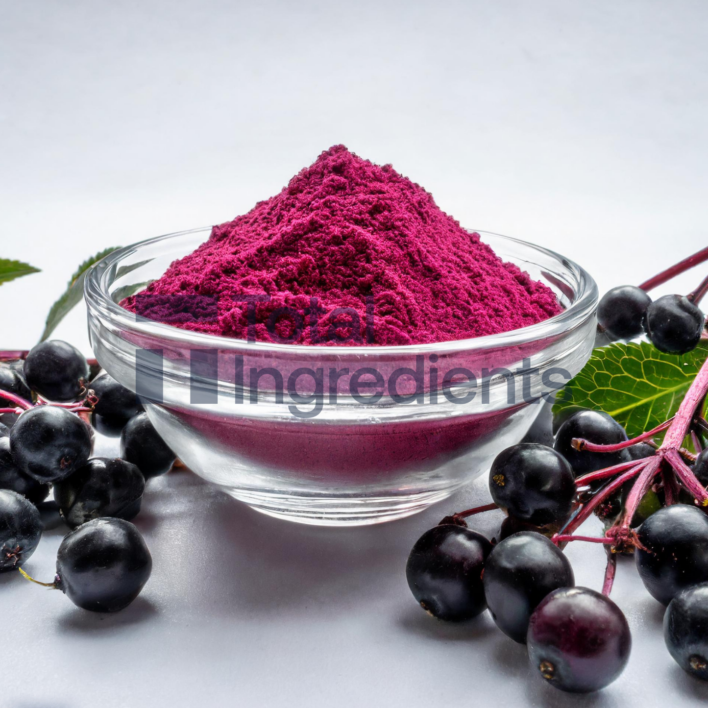 Elderberry Juice Powder