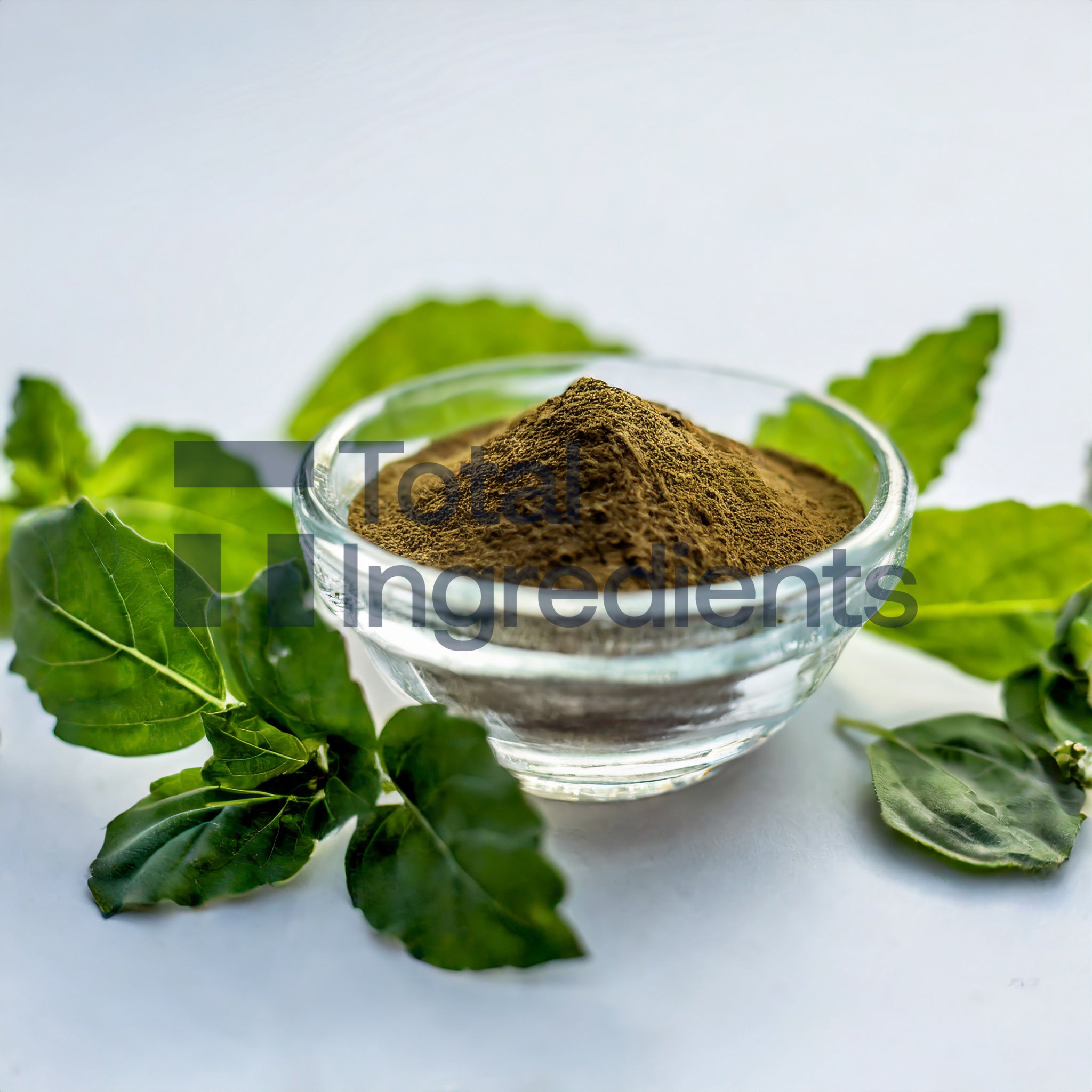 Organic Holy Basil Extract 10:1 by TLC – Total Ingredients