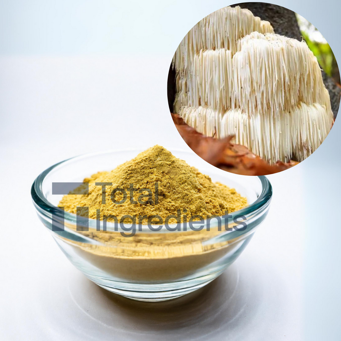 Lion’s Mane Mushroom Powder